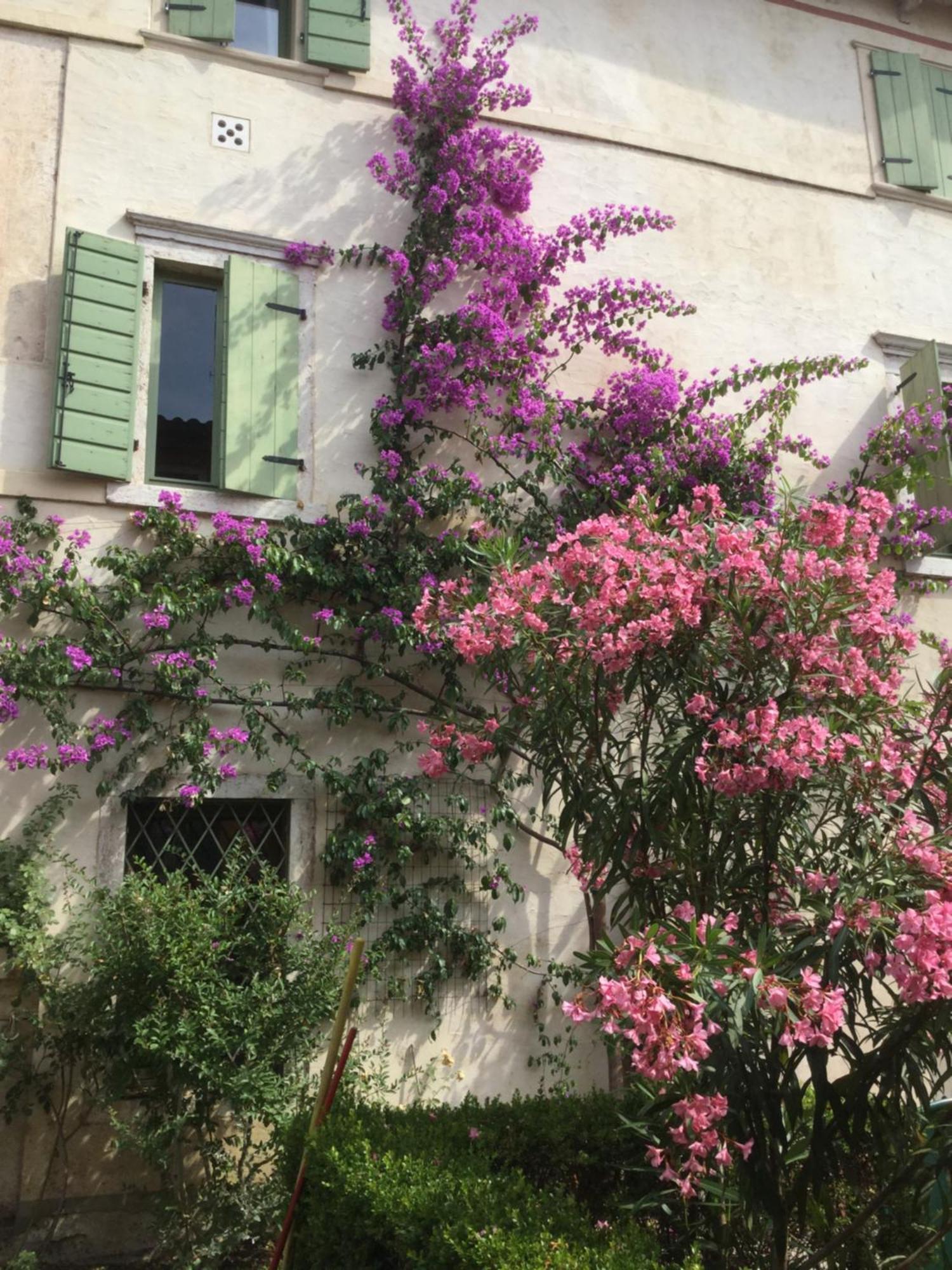 Villa Cisano Residenza D'Epoca Bardolino Exterior foto