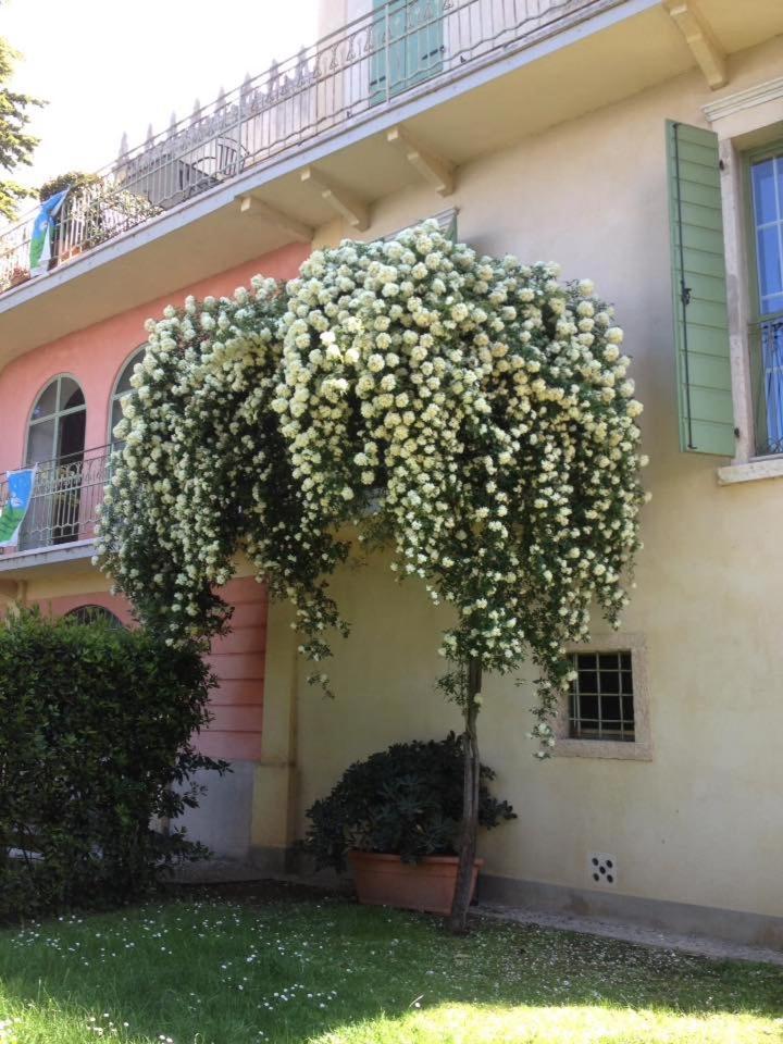 Villa Cisano Residenza D'Epoca Bardolino Exterior foto
